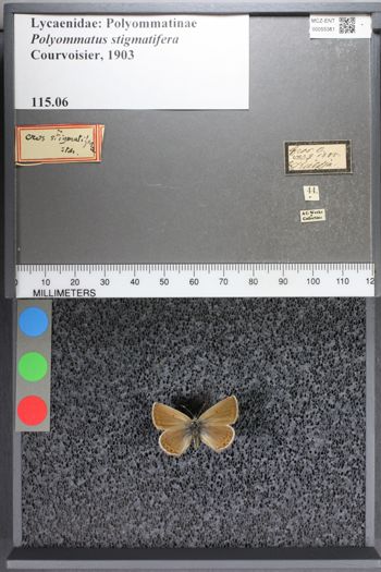 Media type: image;   Entomology 55361